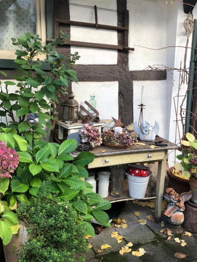 Platzhirsch Seligenstadt - Im Herzen Der Altstadt Exterior foto